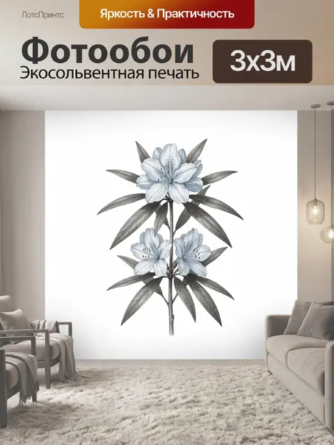 300 × 300 см · Экосольвентная печать