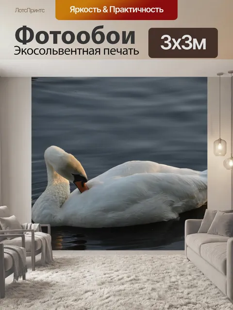 Фотообои Гусь