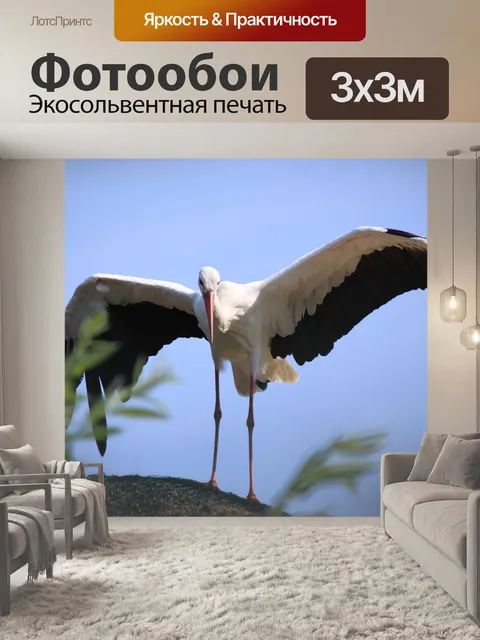 Фотообои Аист