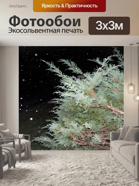 Фотообои Снег осень
