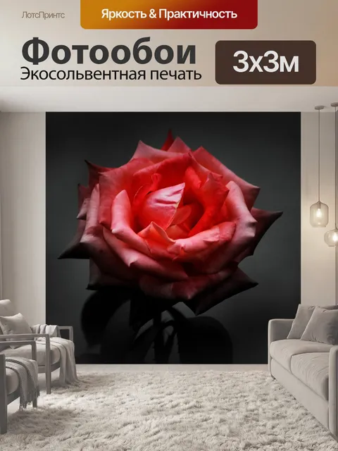 Фотообои Роуз