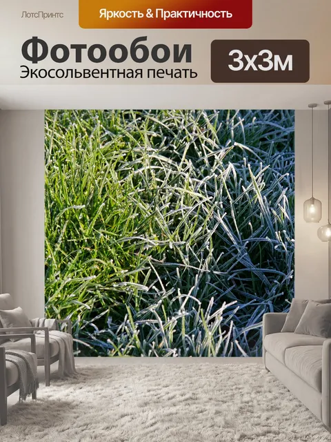 Фотообои Мороз Красный Нос
