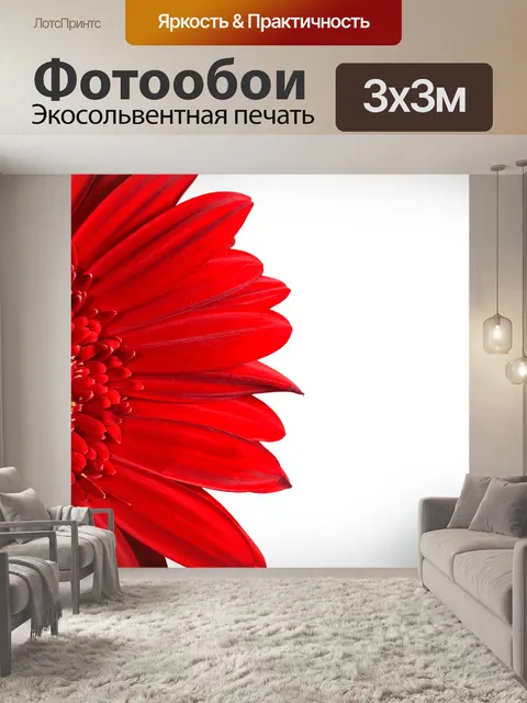 Фотообои Красная гербера Дейзи