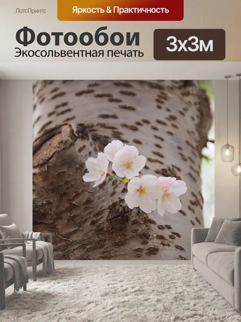 Фотообои Цветы