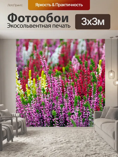 Фотообои красочный вереск