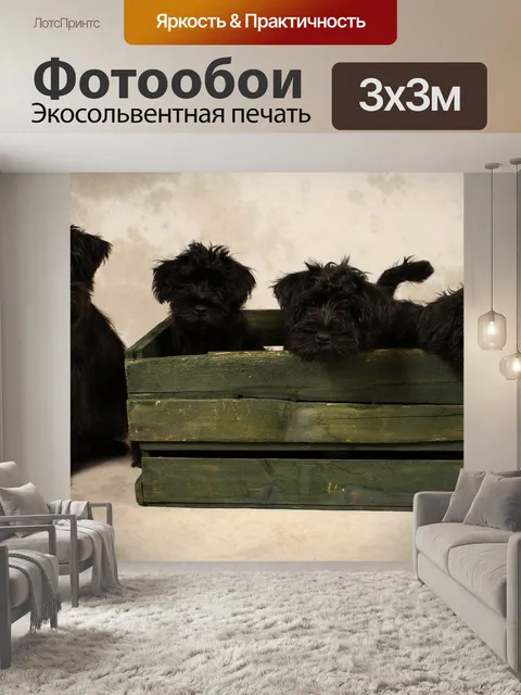 Фотообои Щенки