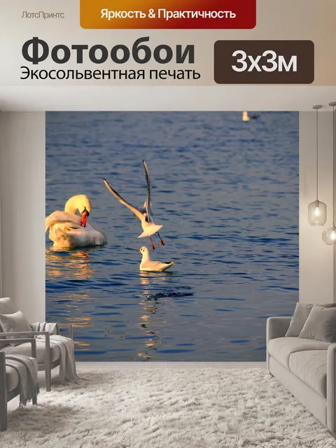 Фотообои Лебедь