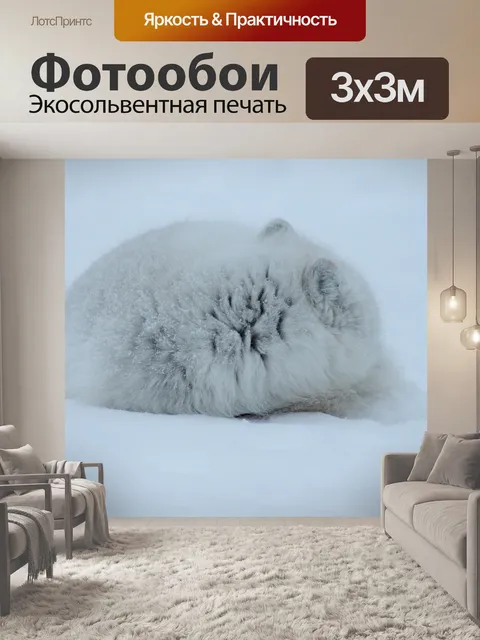 Фотообои Лиса