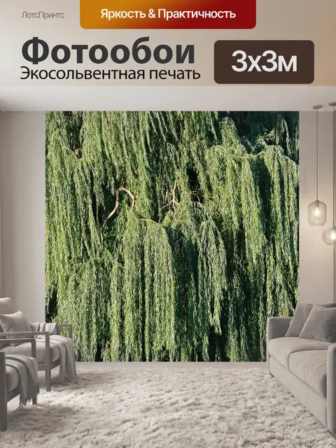 Фотообои густые ветви вербы