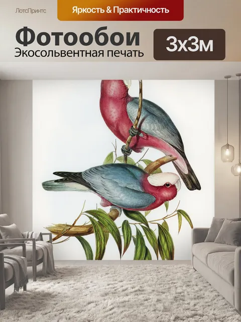 Фотообои Попугай какаду птица винтаж