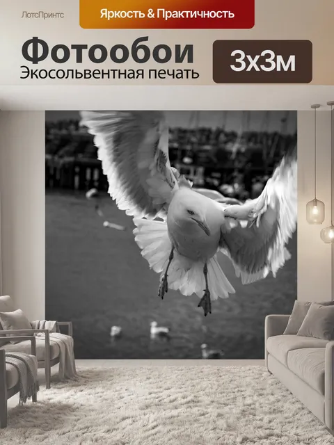 Фотообои Чайки в море