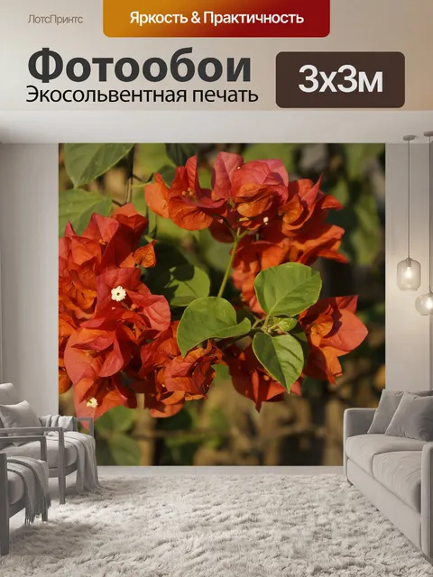 Фотообои Цветы