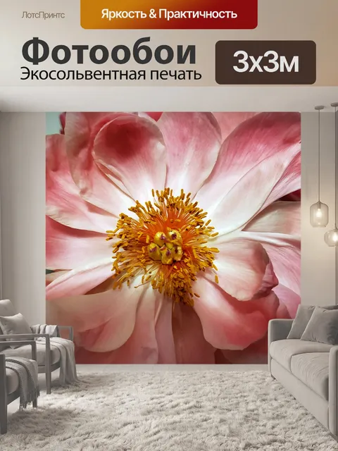 Фотообои крупный план цветка пиона