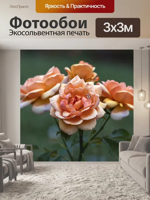 Фотообои Розы