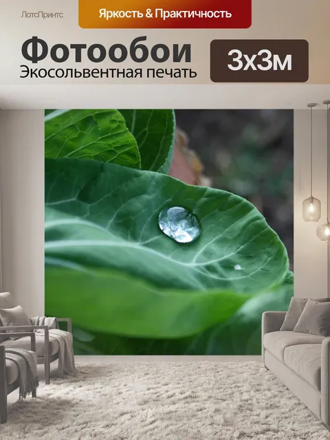 Фотообои светящиеся капли на листе