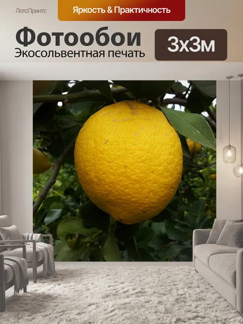 Фотообои Лимон