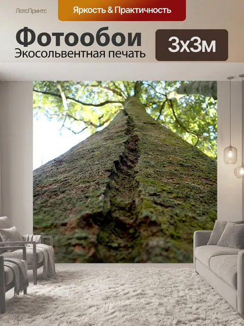 Фотообои Дерево