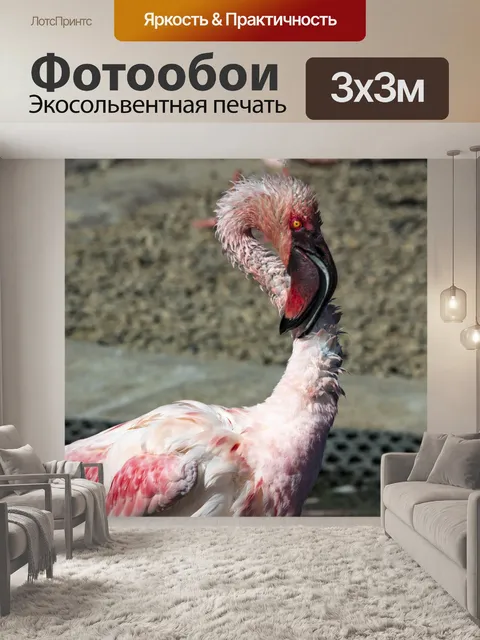 Фотообои розовый фламинго