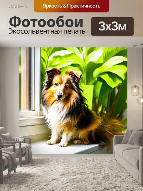 Фотообои шелти сидит на подоконнике с яркими растениями на фоне