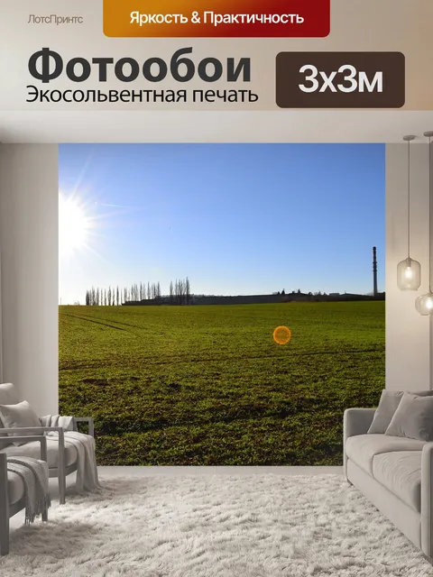 Фотообои Поле
