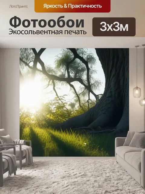 Фотообои солнце, выглядывающее из-за дерева