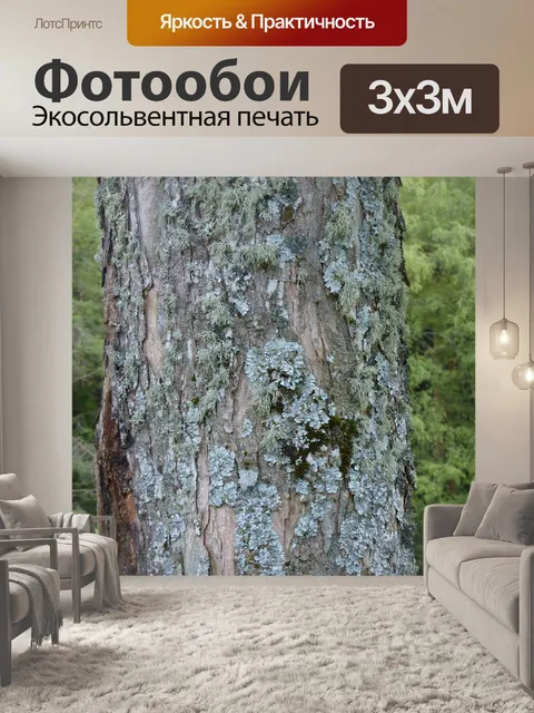 Фотообои Лишайник