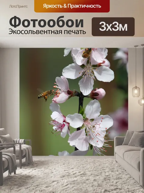 Фотообои Персик цветок в цвету