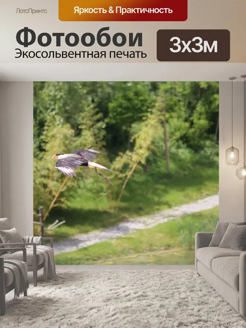 Фотообои Птицы
