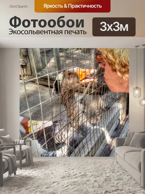 Фотообои Леди и гусь