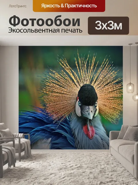 Фотообои Венценосный журавль