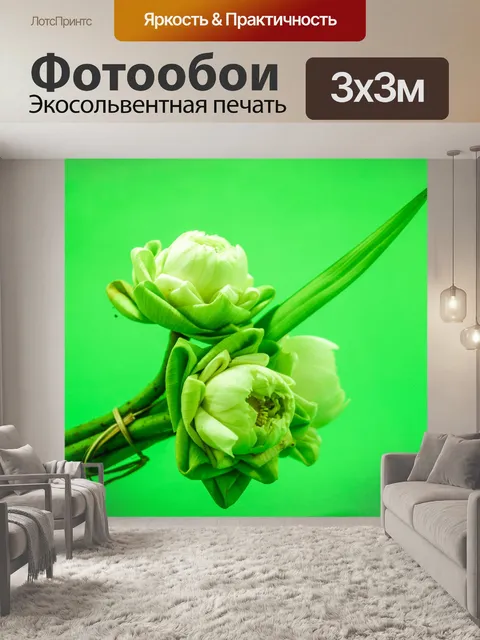 Фотообои Цветок белого лотоса