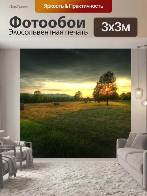Фотообои Поле