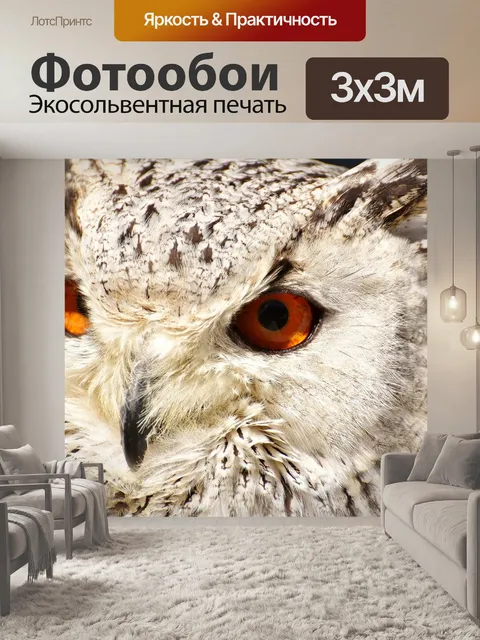 Фотообои Снежная сова bubo scandiacus