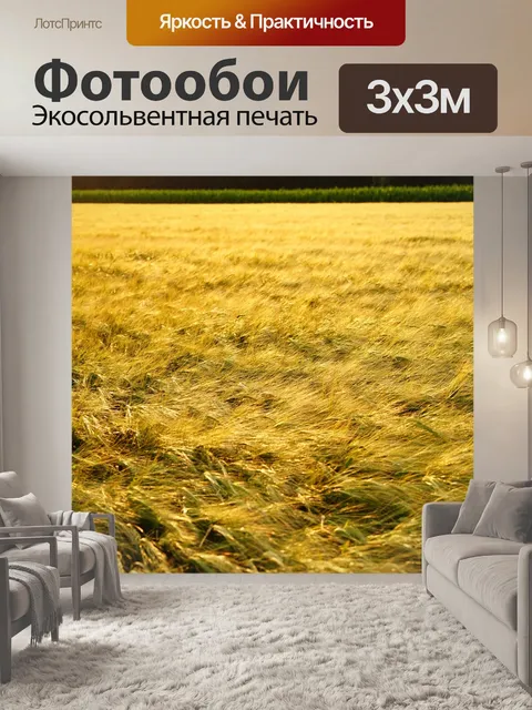 Фотообои Поле