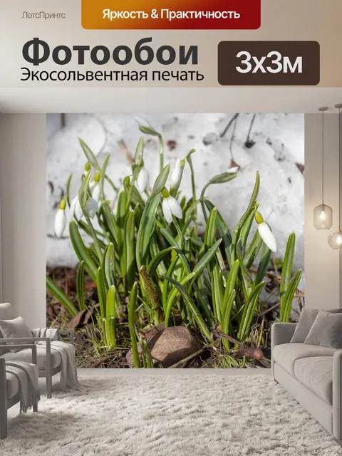 Фотообои Подснежник