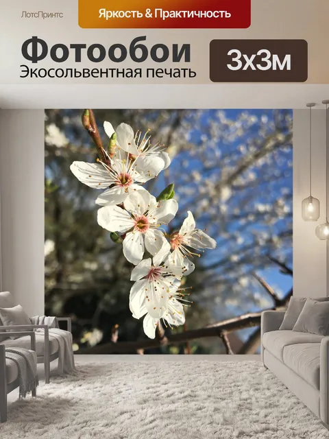 Фотообои Цветы