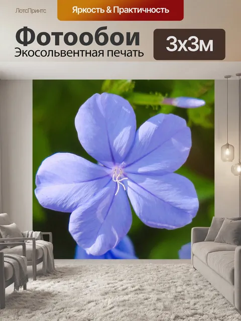 Фотообои Голубой цветок дэн