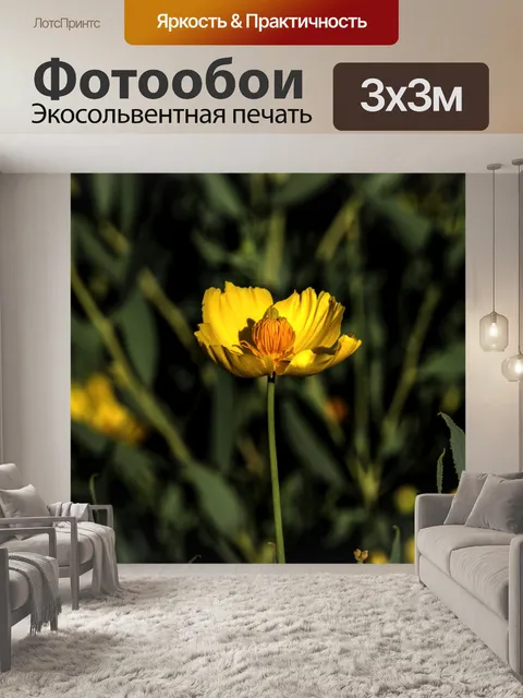 Фотообои Желтый цветок мака