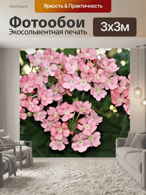 Фотообои Розовые цветы вербены