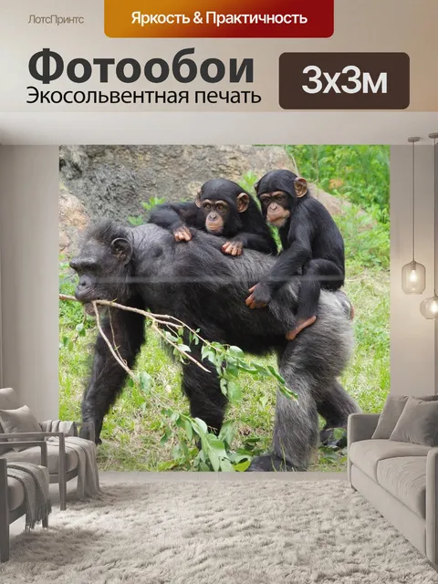 Фотообои Сафари
