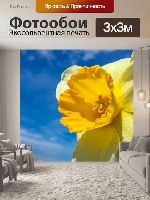 Фотообои Желтый нарцисс
