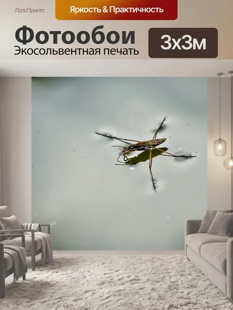 Фотообои Страйдеры воды