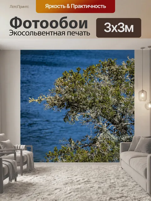 Фотообои Дерево на утесе над морем