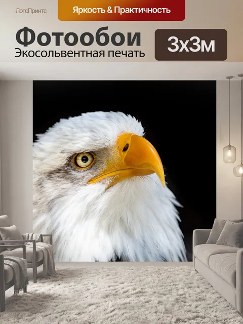 Фотообои Орел
