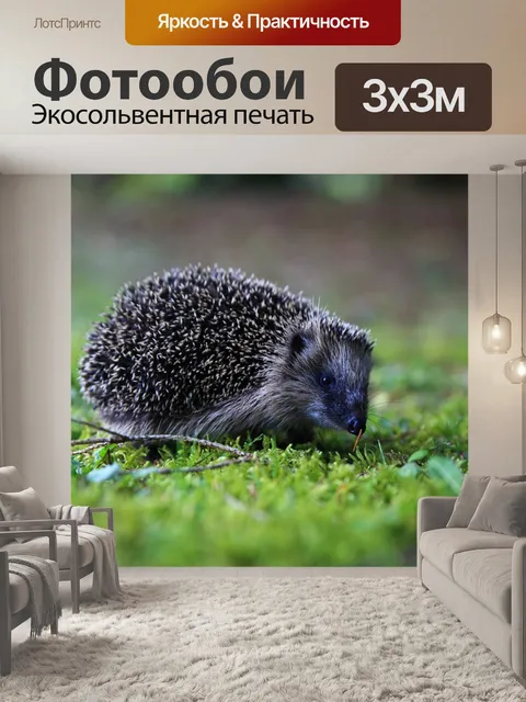 Фотообои Животные