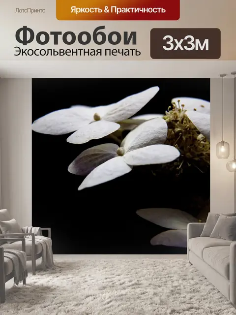 Фотообои Белый