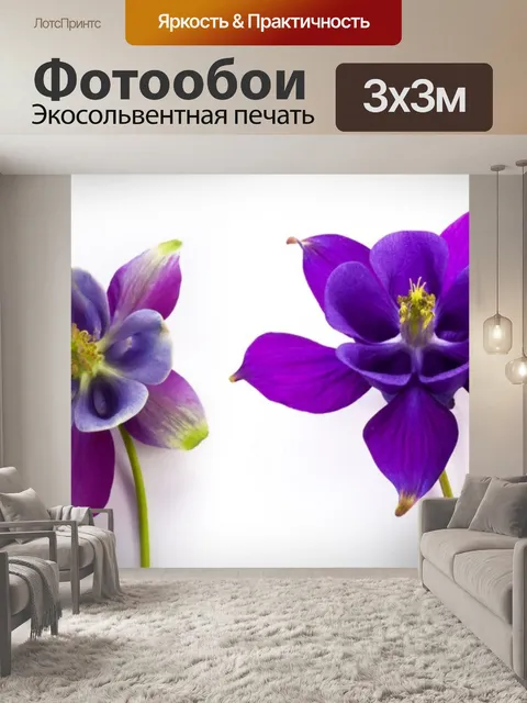 Фотообои Цветы Красочный белый фон