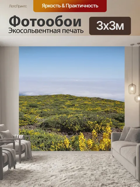 Фотообои Цветы