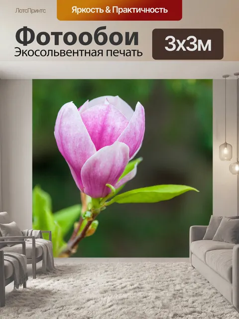 Фотообои цветок магнолии