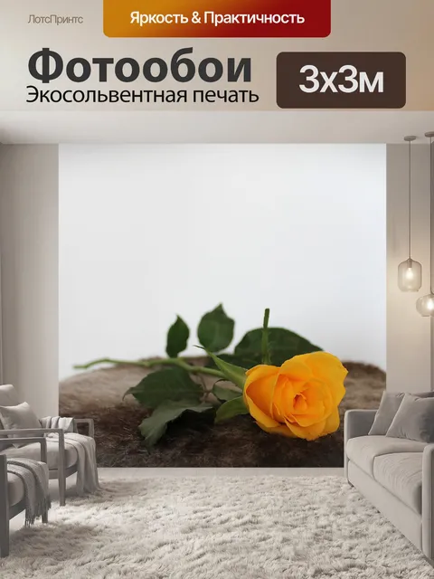 Фотообои Роза